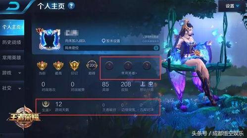 王者芳薇爆料了吗最新消息,神秘事件即将揭晓！